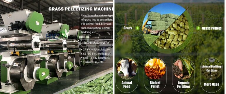 Producing Grass Feed Pellets with Animal Feed Processing Machines