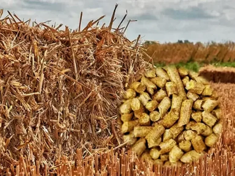 Rice Straw Pellet Machine for Sustainable Biomass Fuel Production