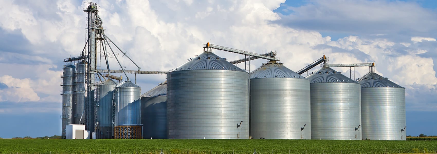 Animal Feed Processing Machine In Ethiopia banner